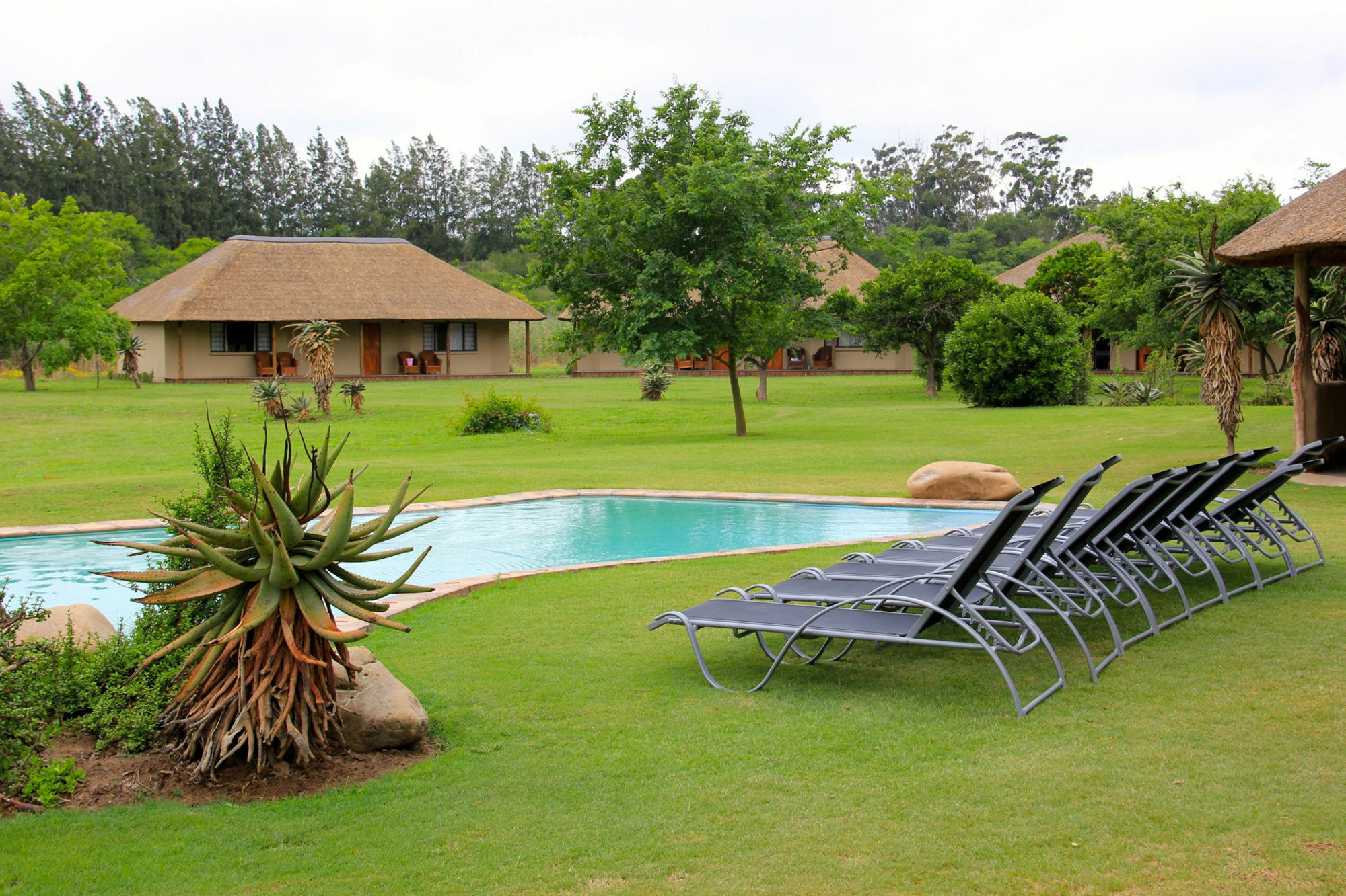 Chrislin African Lodge Addo Dış mekan fotoğraf